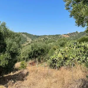 Земельный участок в Corfu, фото 4