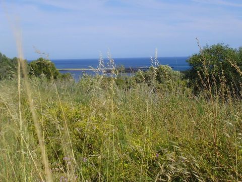 Земельный участок в Лагуш