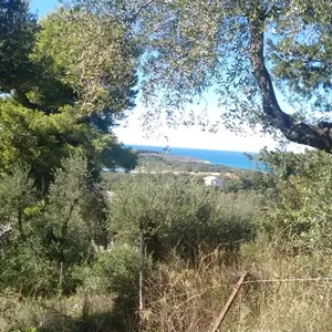 Земельный участок в Corfu, фото 2