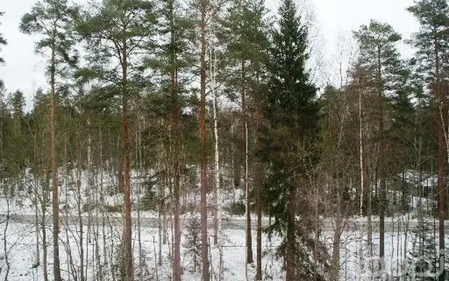 Квартира в Савонлинна