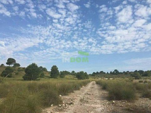 Земельный участок в Авиньо Ноу