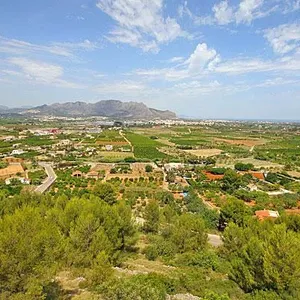 Вилла в Педрегер, фото 4