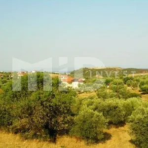 Отдельный дом в Каллифея (Кассандра), фото 2