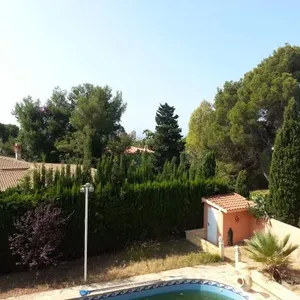 Отдельный дом в Ла-Нусиа, фото 4