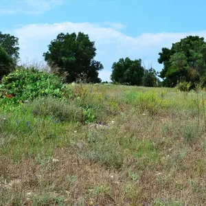 Земельный участок в Kassandra Municipality, фото 2