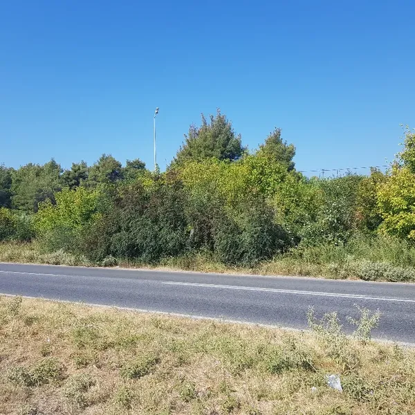 Земельный участок в Kassandra Municipality, фото 1