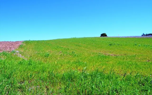 Земельный участок в Kassandra Municipality