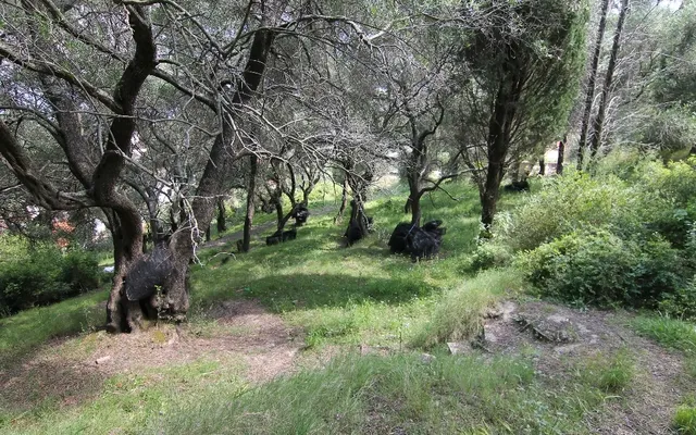 Земельный участок в Corfu