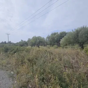 Земельный участок в Kassandra Municipality, фото 4