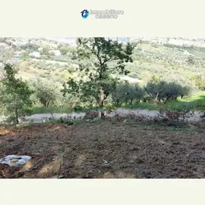 Коттедж в Джессопалена, фото 5