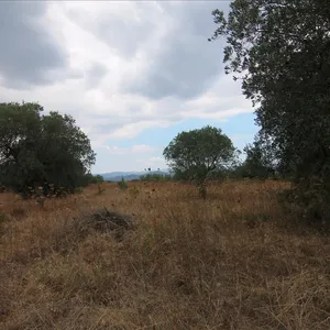 Земельный участок в Ситониа, фото 2