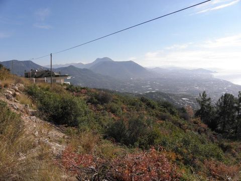 Земельный участок в Алания