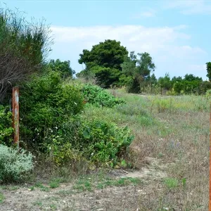 Земельный участок в Kassandra Municipality, фото 4