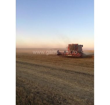Ферма в Бухарест