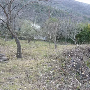 Земельный участок в Столив, фото 3