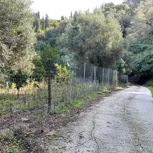 Земельный участок в Corfu, фото 3