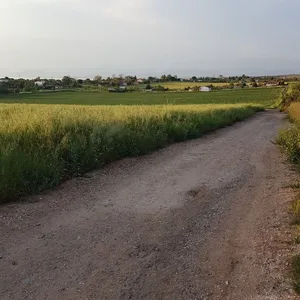 Земельный участок в Kassandra Municipality, фото 4