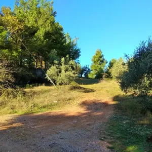 Земельный участок в Ситониа, фото 2