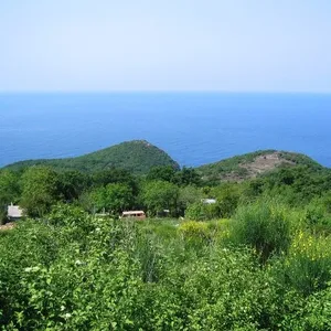 Земельный участок в Близикуче, фото 3