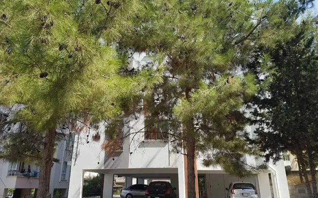 Квартира в Кирения
