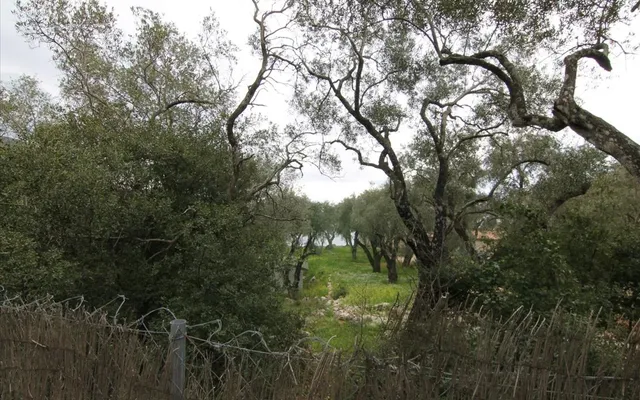 Земельный участок в Corfu
