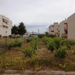 Земельный участок в Пайяниа, фото 3