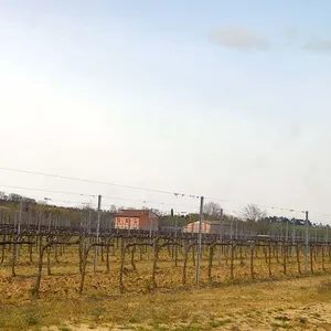 Отдельный дом в Монтепульчано, фото 2