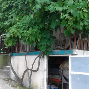 Отдельный дом в Сутоморе, фото 4