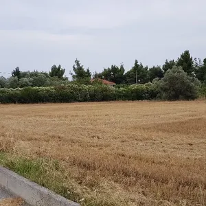 Земельный участок в Kassandra Municipality, фото 3