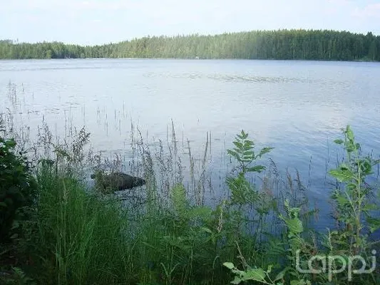 Земельный участок в Савонранта