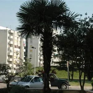 Квартира в Бар, фото 2