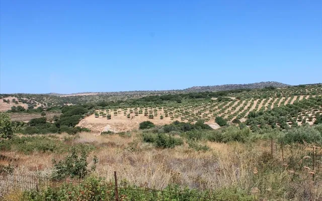 Земельный участок в Gouves Municipal Unit