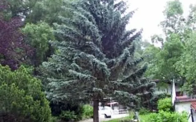 Вилла в Комо