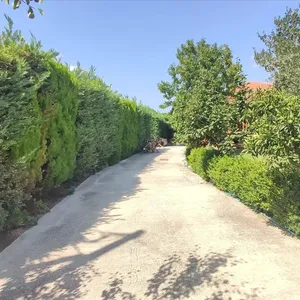 Отдельный дом в Ситониа, фото 5