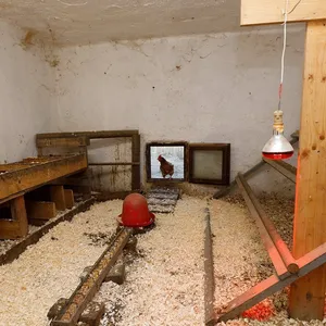 Дом в Хевиз, фото 3