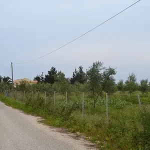 Земельный участок в Корфу, фото 4