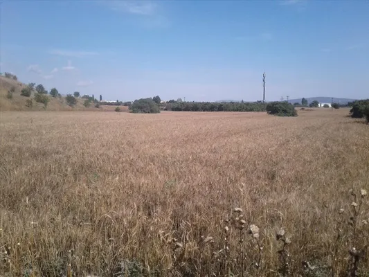 Земельный участок в Thessaloniki Inner Ring Road