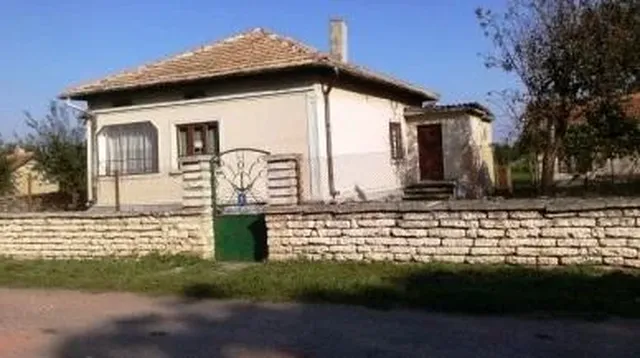 Дом в Царичино