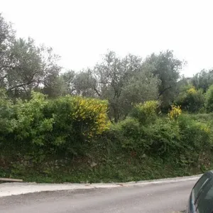 Земельный участок в Бар, фото 4