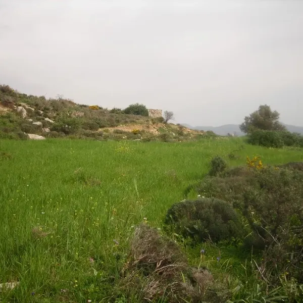 Земельный участок в Municipality of Gortys, фото 1