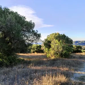 Земельный участок в Kassandra Municipality, фото 5