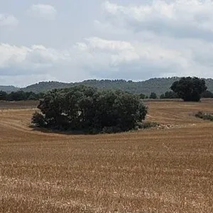 Земельный участок в Айора, фото 2