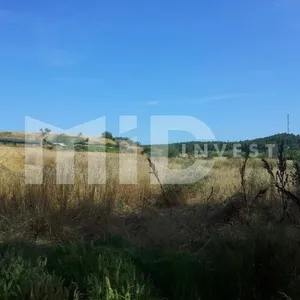 Земельный участок в Каллифея (Кассандра), фото 2