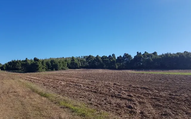 Земельный участок в Kassandra Municipality