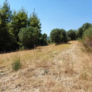 Земельный участок в Kassandra Municipality, фото 4