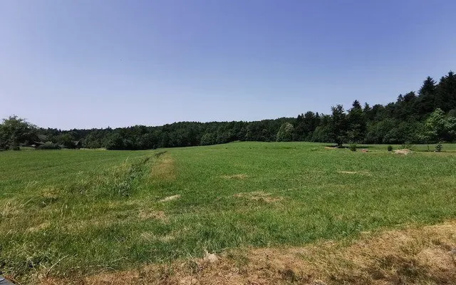 Земельный участок в Трново