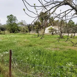 Земельный участок в Corfu, фото 3
