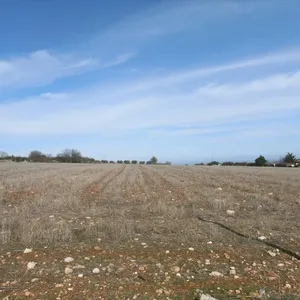 Земельный участок в Дион, фото 2