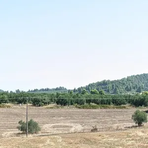 Земельный участок в Kassandra Municipality, фото 4