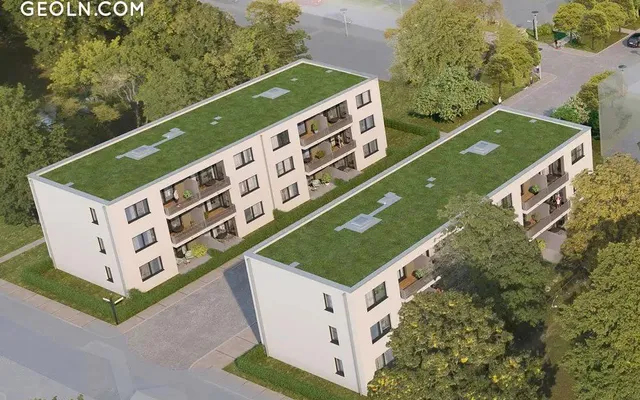 Wildrose in Berlin
